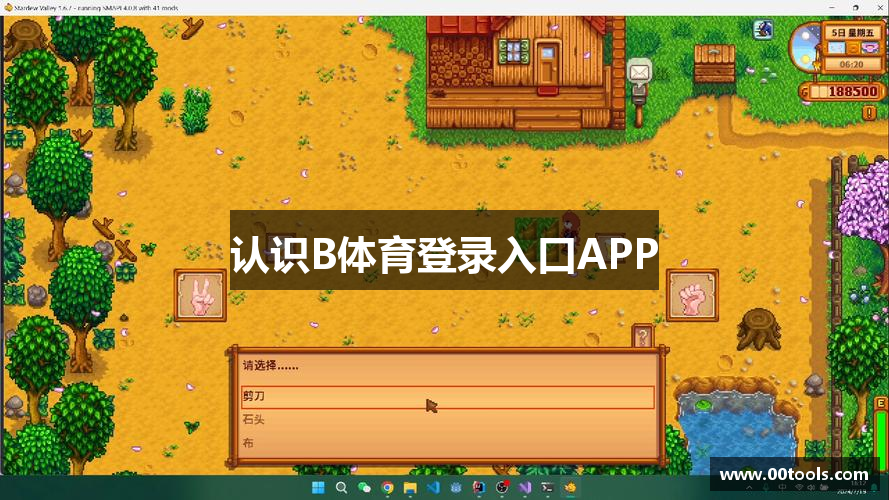 认识B体育登录入口APP